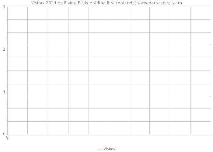 Visitas 2024 de Flying Birds Holding B.V. (Holanda) 