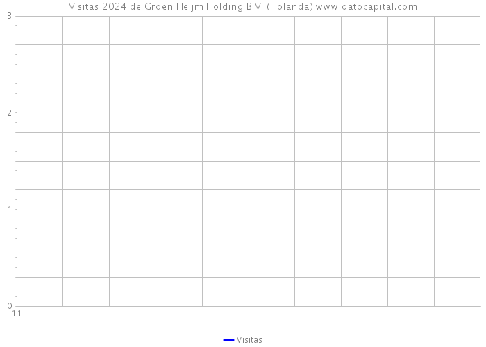 Visitas 2024 de Groen Heijm Holding B.V. (Holanda) 