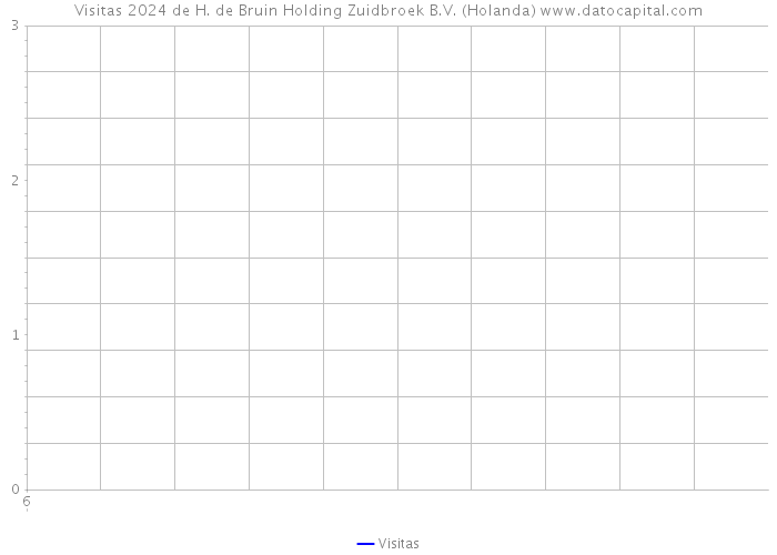 Visitas 2024 de H. de Bruin Holding Zuidbroek B.V. (Holanda) 