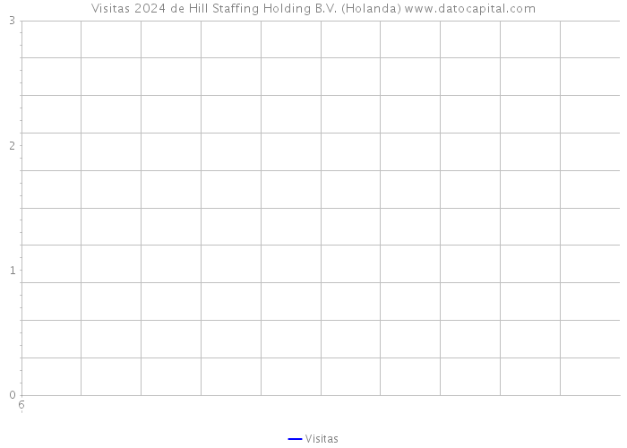 Visitas 2024 de Hill Staffing Holding B.V. (Holanda) 