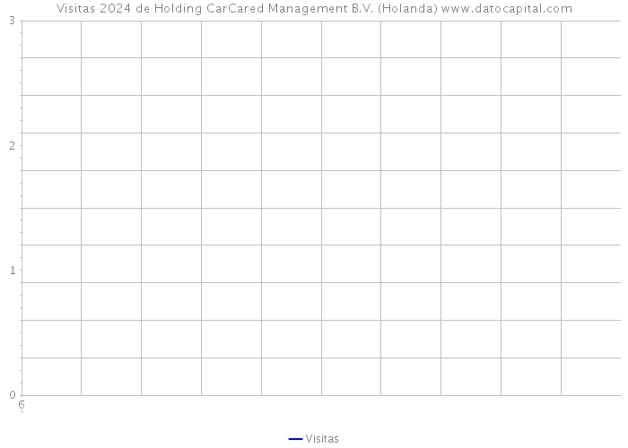 Visitas 2024 de Holding CarCared Management B.V. (Holanda) 