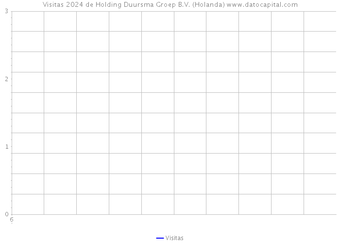 Visitas 2024 de Holding Duursma Groep B.V. (Holanda) 