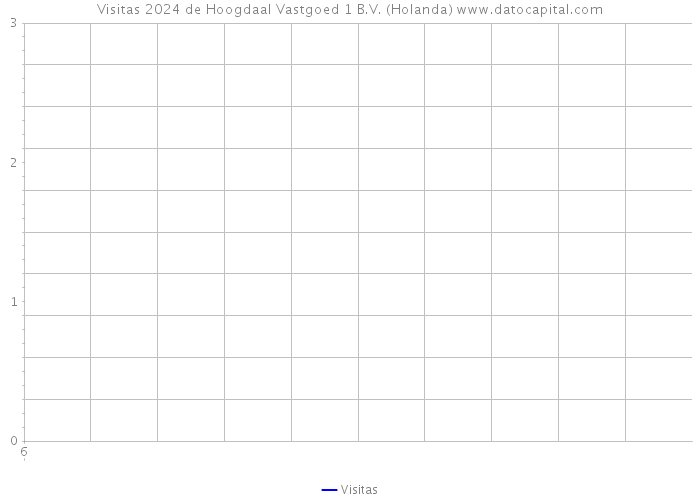 Visitas 2024 de Hoogdaal Vastgoed 1 B.V. (Holanda) 