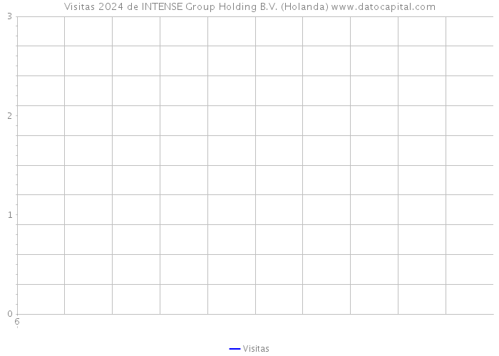 Visitas 2024 de INTENSE Group Holding B.V. (Holanda) 