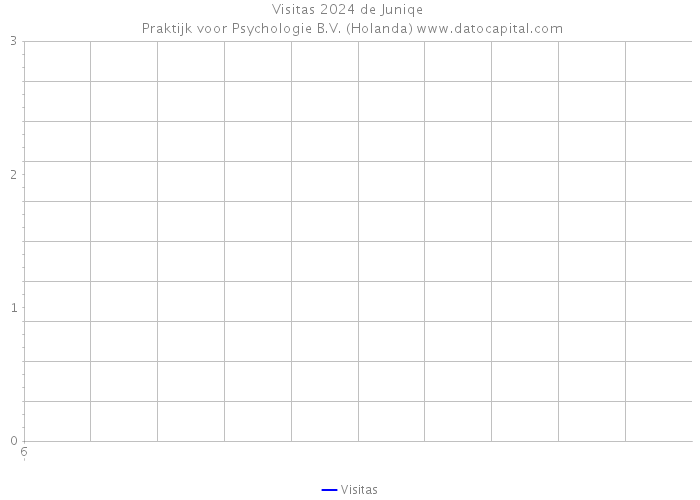 Visitas 2024 de Juniqe | Praktijk voor Psychologie B.V. (Holanda) 