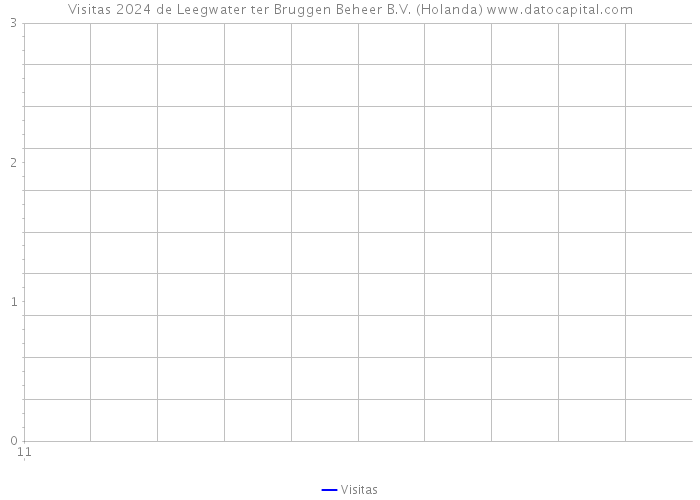 Visitas 2024 de Leegwater ter Bruggen Beheer B.V. (Holanda) 