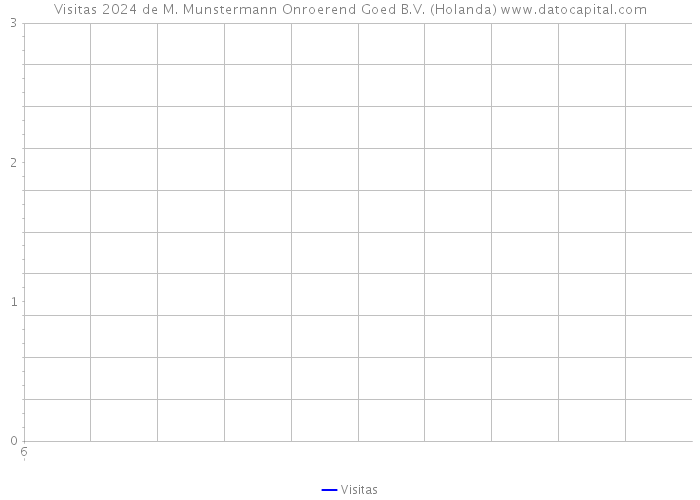 Visitas 2024 de M. Munstermann Onroerend Goed B.V. (Holanda) 