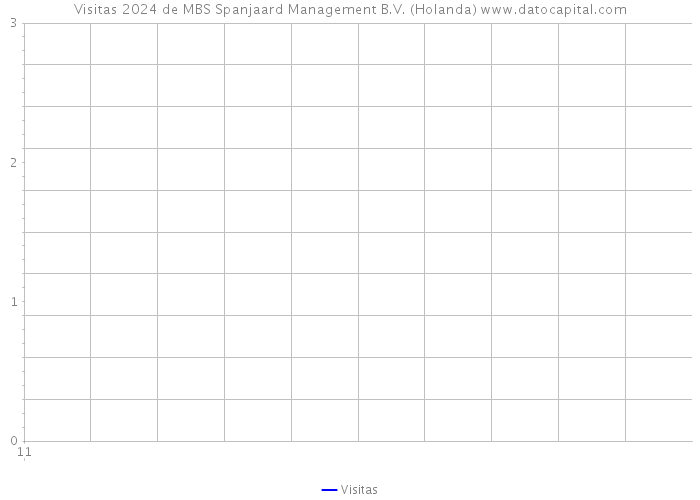 Visitas 2024 de MBS Spanjaard Management B.V. (Holanda) 