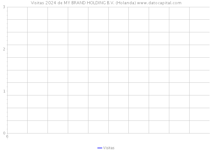 Visitas 2024 de MY BRAND HOLDING B.V. (Holanda) 