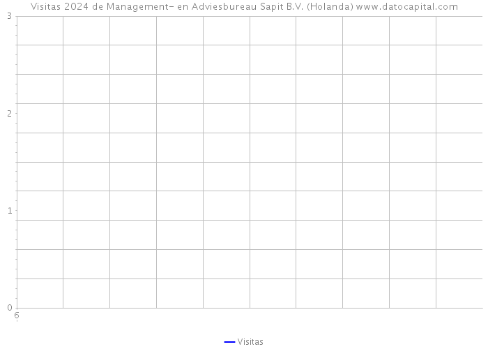 Visitas 2024 de Management- en Adviesbureau Sapit B.V. (Holanda) 