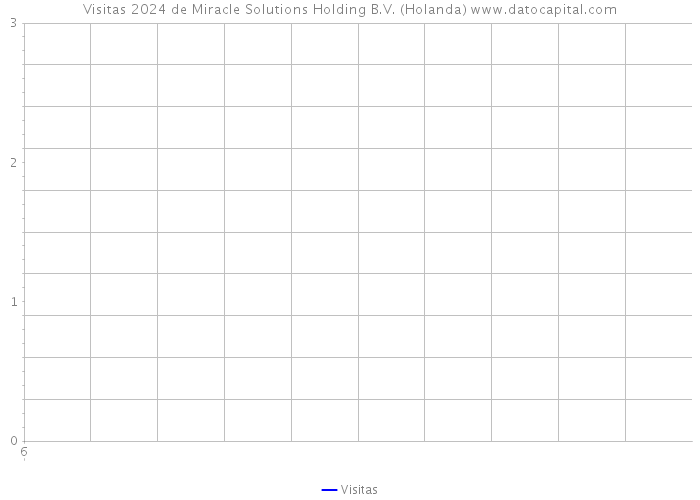 Visitas 2024 de Miracle Solutions Holding B.V. (Holanda) 