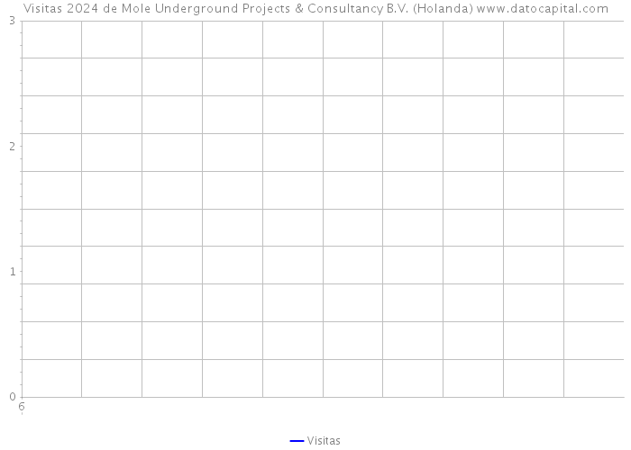 Visitas 2024 de Mole Underground Projects & Consultancy B.V. (Holanda) 