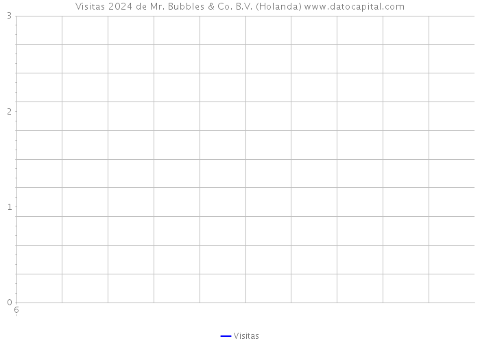 Visitas 2024 de Mr. Bubbles & Co. B.V. (Holanda) 