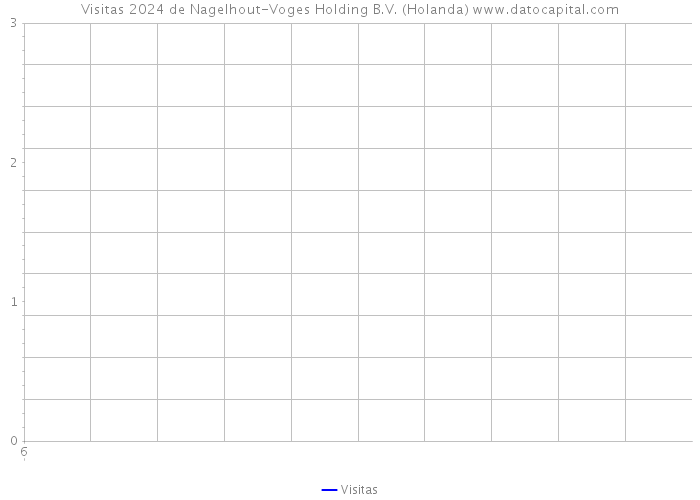Visitas 2024 de Nagelhout-Voges Holding B.V. (Holanda) 