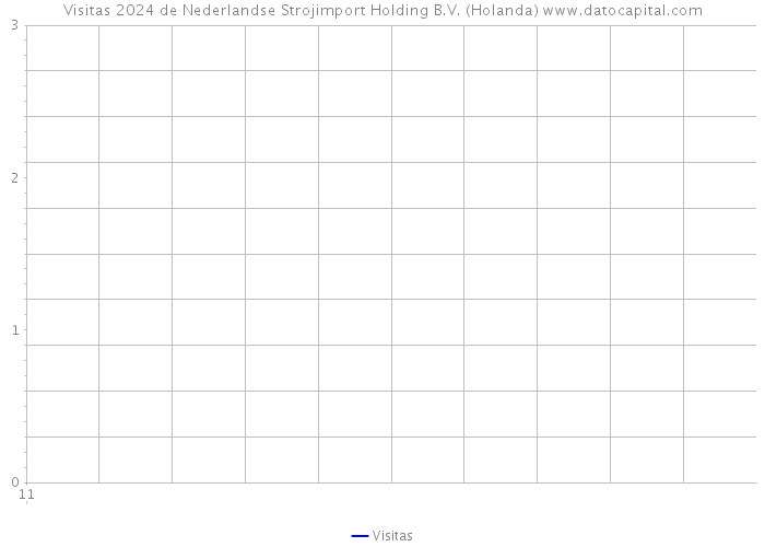 Visitas 2024 de Nederlandse Strojimport Holding B.V. (Holanda) 
