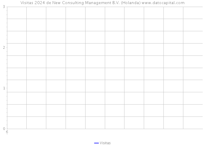 Visitas 2024 de New Consulting Management B.V. (Holanda) 