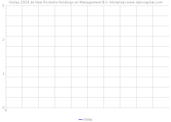 Visitas 2024 de New Rochelle Holdings en Management B.V. (Holanda) 