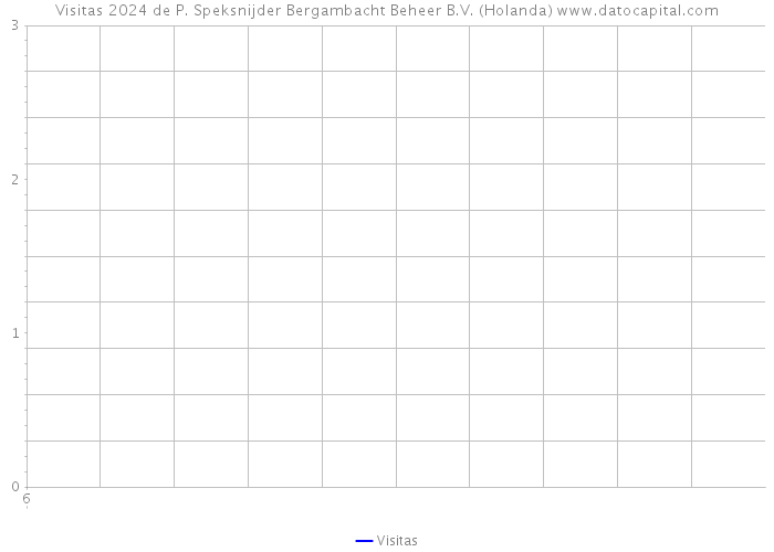 Visitas 2024 de P. Speksnijder Bergambacht Beheer B.V. (Holanda) 