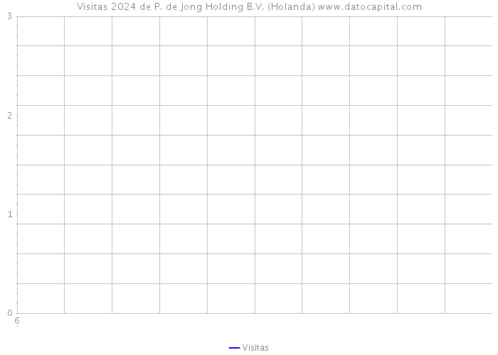 Visitas 2024 de P. de Jong Holding B.V. (Holanda) 