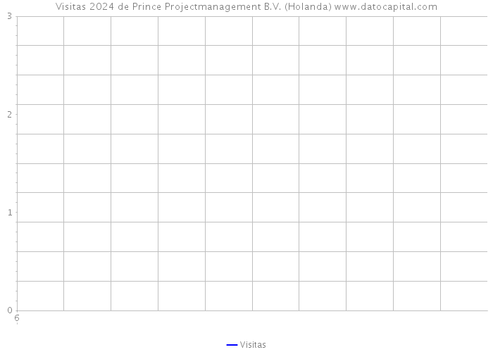 Visitas 2024 de Prince Projectmanagement B.V. (Holanda) 