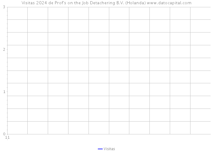 Visitas 2024 de Prof's on the Job Detachering B.V. (Holanda) 