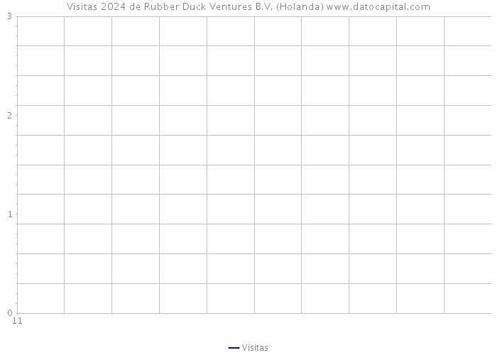 Visitas 2024 de Rubber Duck Ventures B.V. (Holanda) 