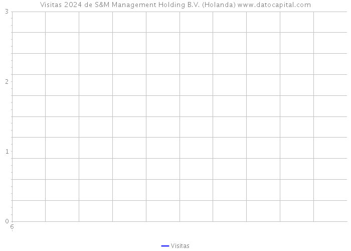 Visitas 2024 de S&M Management Holding B.V. (Holanda) 
