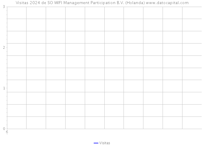 Visitas 2024 de SO WIFI Management Participation B.V. (Holanda) 