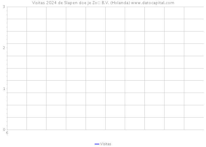 Visitas 2024 de Slapen doe je Zo B.V. (Holanda) 