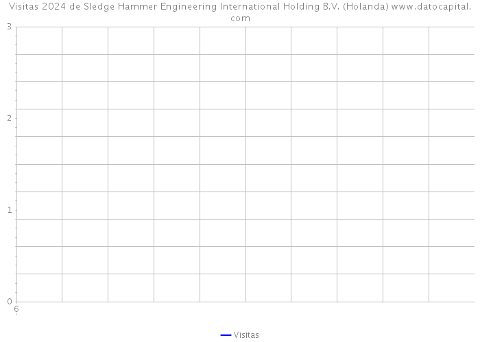 Visitas 2024 de Sledge Hammer Engineering International Holding B.V. (Holanda) 