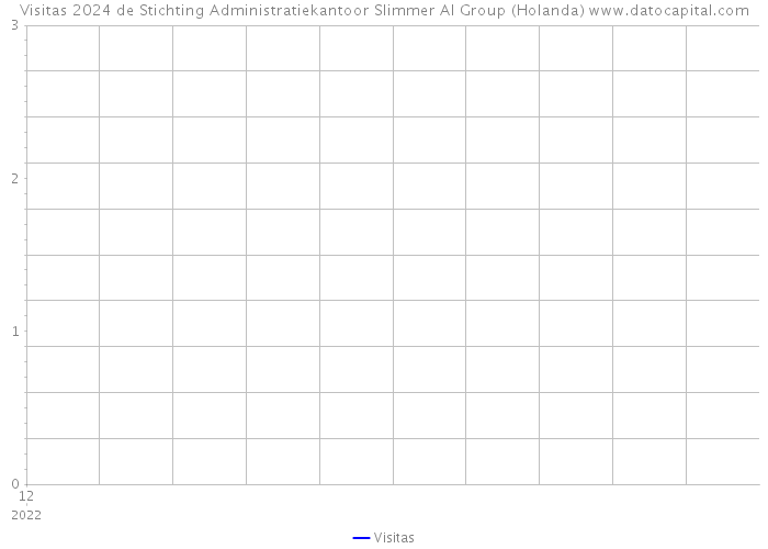 Visitas 2024 de Stichting Administratiekantoor Slimmer AI Group (Holanda) 