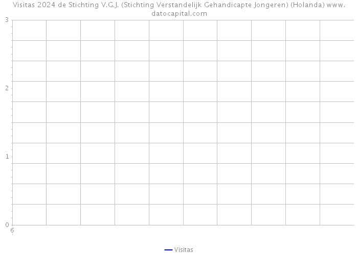 Visitas 2024 de Stichting V.G.J. (Stichting Verstandelijk Gehandicapte Jongeren) (Holanda) 