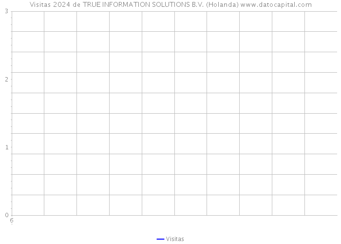 Visitas 2024 de TRUE INFORMATION SOLUTIONS B.V. (Holanda) 