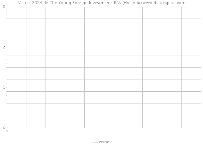 Visitas 2024 de The Young Foreign Investments B.V. (Holanda) 