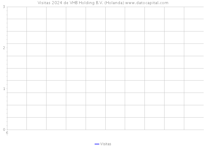 Visitas 2024 de VHB Holding B.V. (Holanda) 