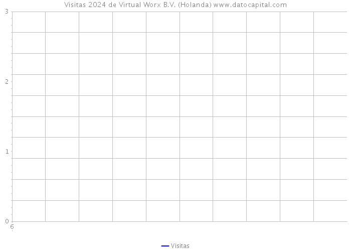 Visitas 2024 de Virtual Worx B.V. (Holanda) 