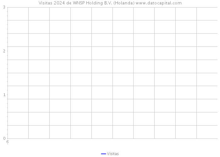 Visitas 2024 de WNSP Holding B.V. (Holanda) 