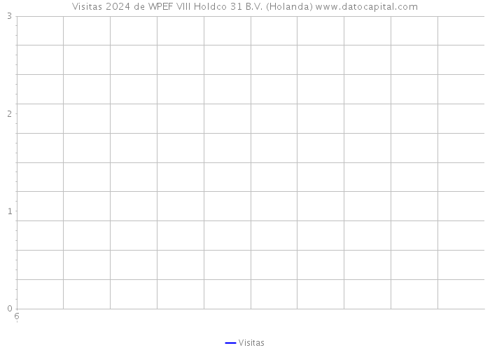 Visitas 2024 de WPEF VIII Holdco 31 B.V. (Holanda) 