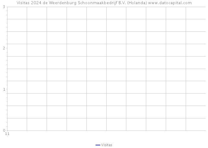 Visitas 2024 de Weerdenburg Schoonmaakbedrijf B.V. (Holanda) 