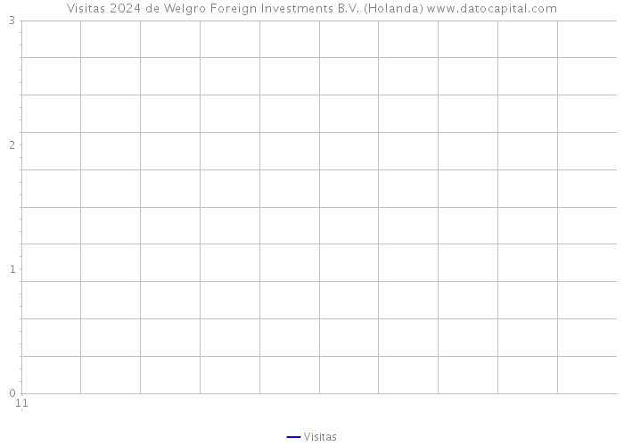 Visitas 2024 de Welgro Foreign Investments B.V. (Holanda) 