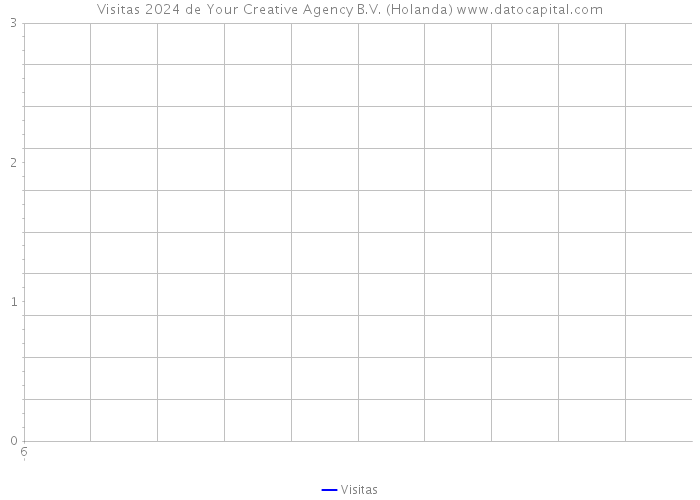 Visitas 2024 de Your Creative Agency B.V. (Holanda) 