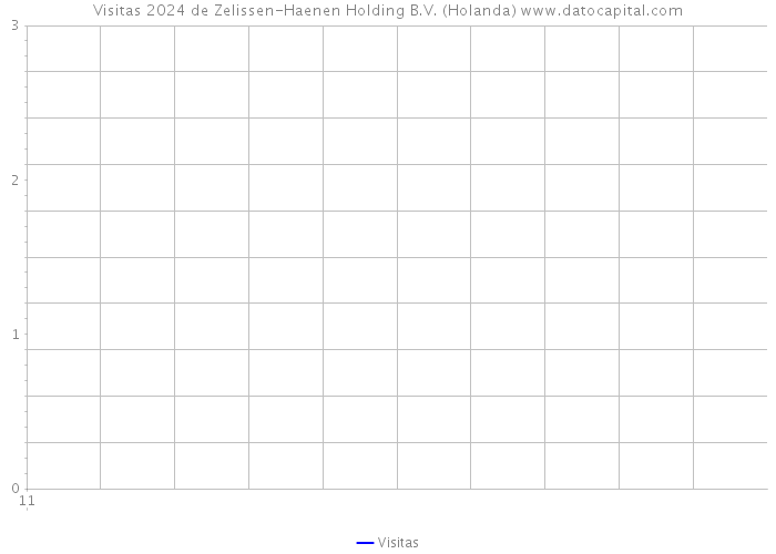 Visitas 2024 de Zelissen-Haenen Holding B.V. (Holanda) 