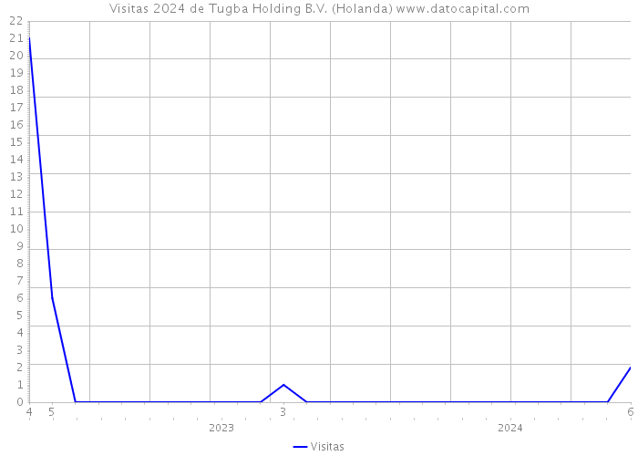 Visitas 2024 de Tugba Holding B.V. (Holanda) 