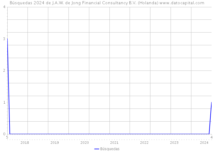 Búsquedas 2024 de J.A.W. de Jong Financial Consultancy B.V. (Holanda) 