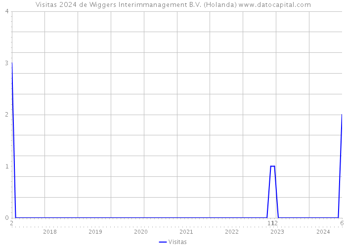 Visitas 2024 de Wiggers Interimmanagement B.V. (Holanda) 