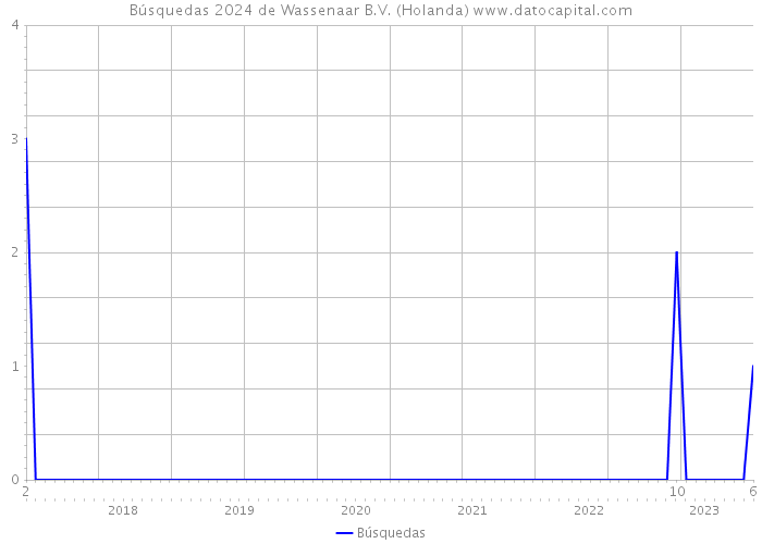 Búsquedas 2024 de Wassenaar B.V. (Holanda) 
