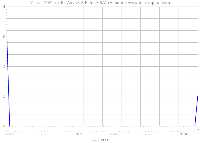 Visitas 2024 de BK Advies & Beheer B.V. (Holanda) 