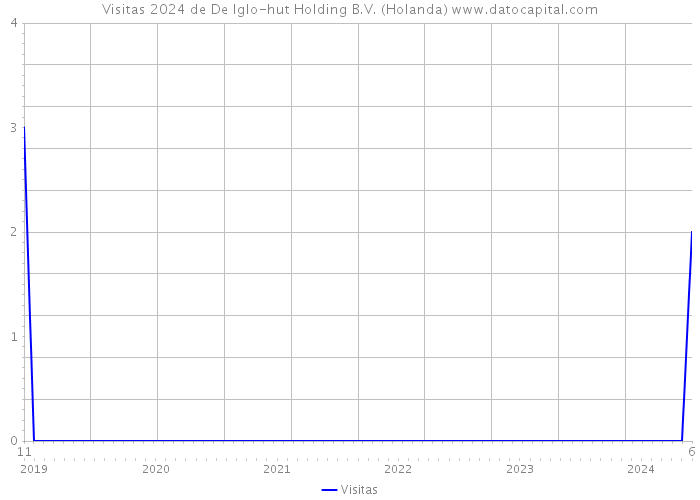 Visitas 2024 de De Iglo-hut Holding B.V. (Holanda) 