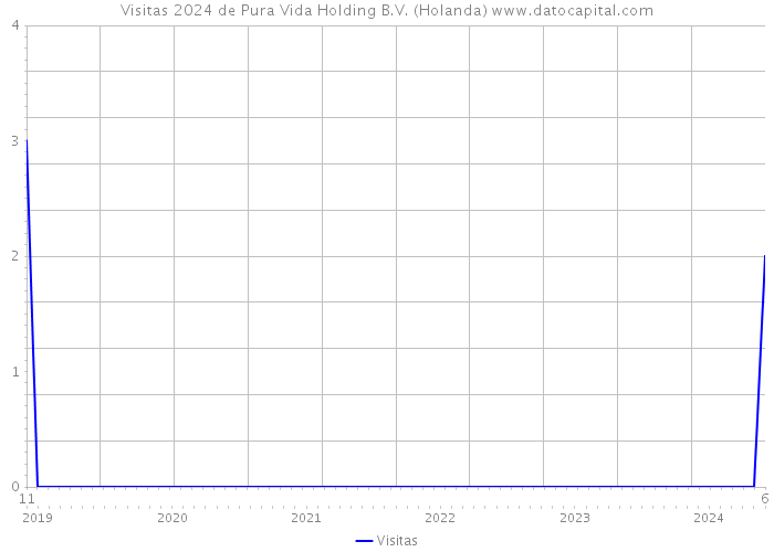 Visitas 2024 de Pura Vida Holding B.V. (Holanda) 