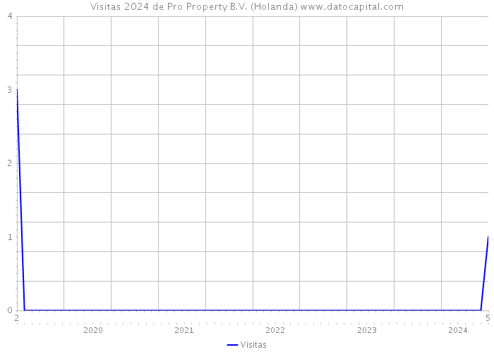Visitas 2024 de Pro Property B.V. (Holanda) 